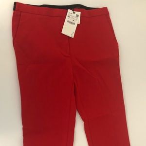 NWT Solid Red Zara Jogger Cigarette Leg Pants XL